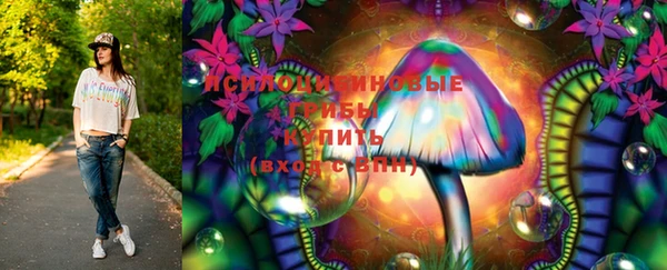 винт Богданович