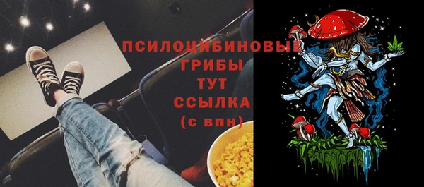 экстази Богородск
